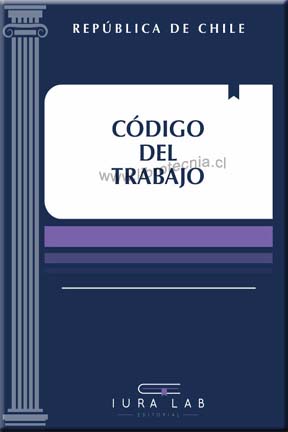 Ver Producto