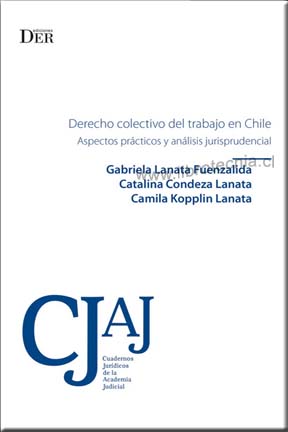 Ver Producto