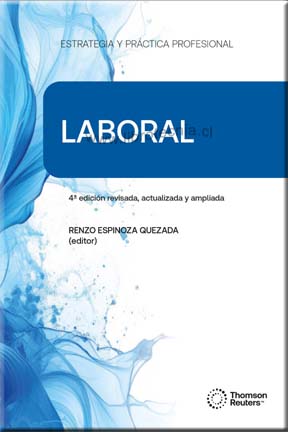 Ver Producto